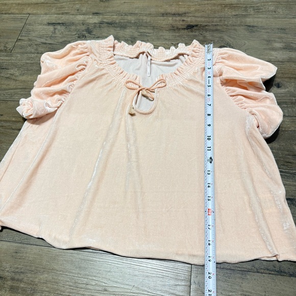 NWOT Free People Terese Velour Crop Top Pink Tint Flutter Balloon Sleeves Size S - Picture 11 of 13